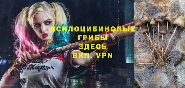 spice Алзамай