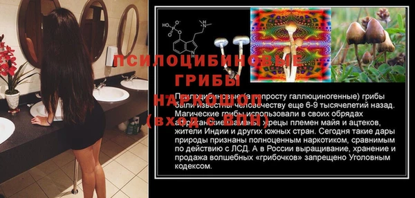 мяу мяу кристалл Алексин
