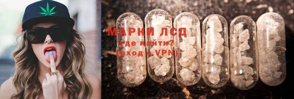 spice Алзамай